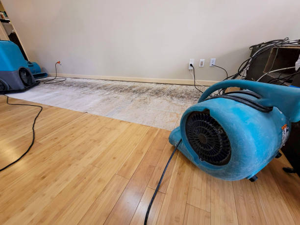 Professional Sewage Cleanup technician working in Little Neck, NY